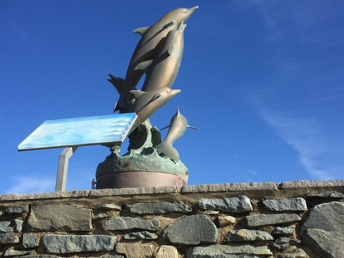 Bed and Breakfast Oceandrive Barmouth Exterior foto